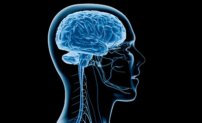 Neuroscience Research | UT Health San Antonio