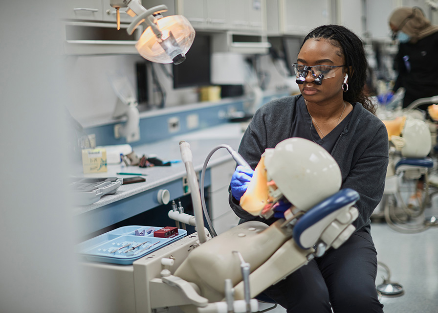 dental student practicing on mannequin