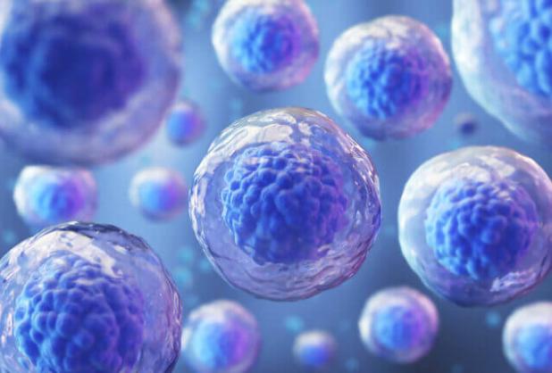 A digital illustration of stem cells.